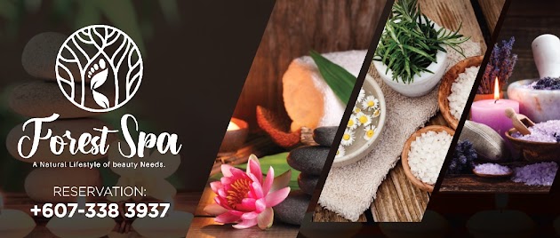 Photo for Forest Spa Plaza Sentosa